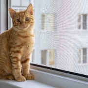 zanzariere scorrevoli monza brianza porte finestre